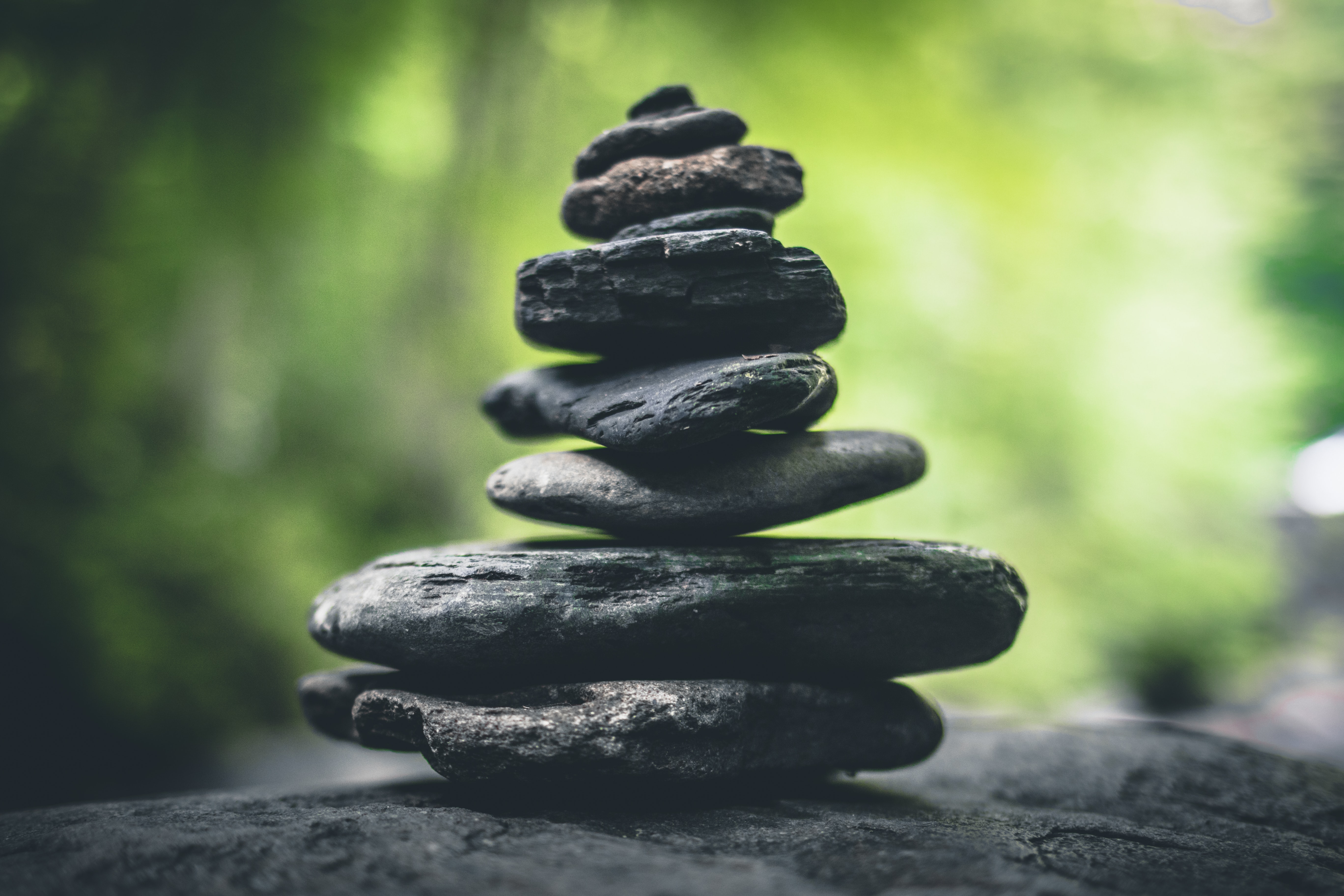 wellness image 